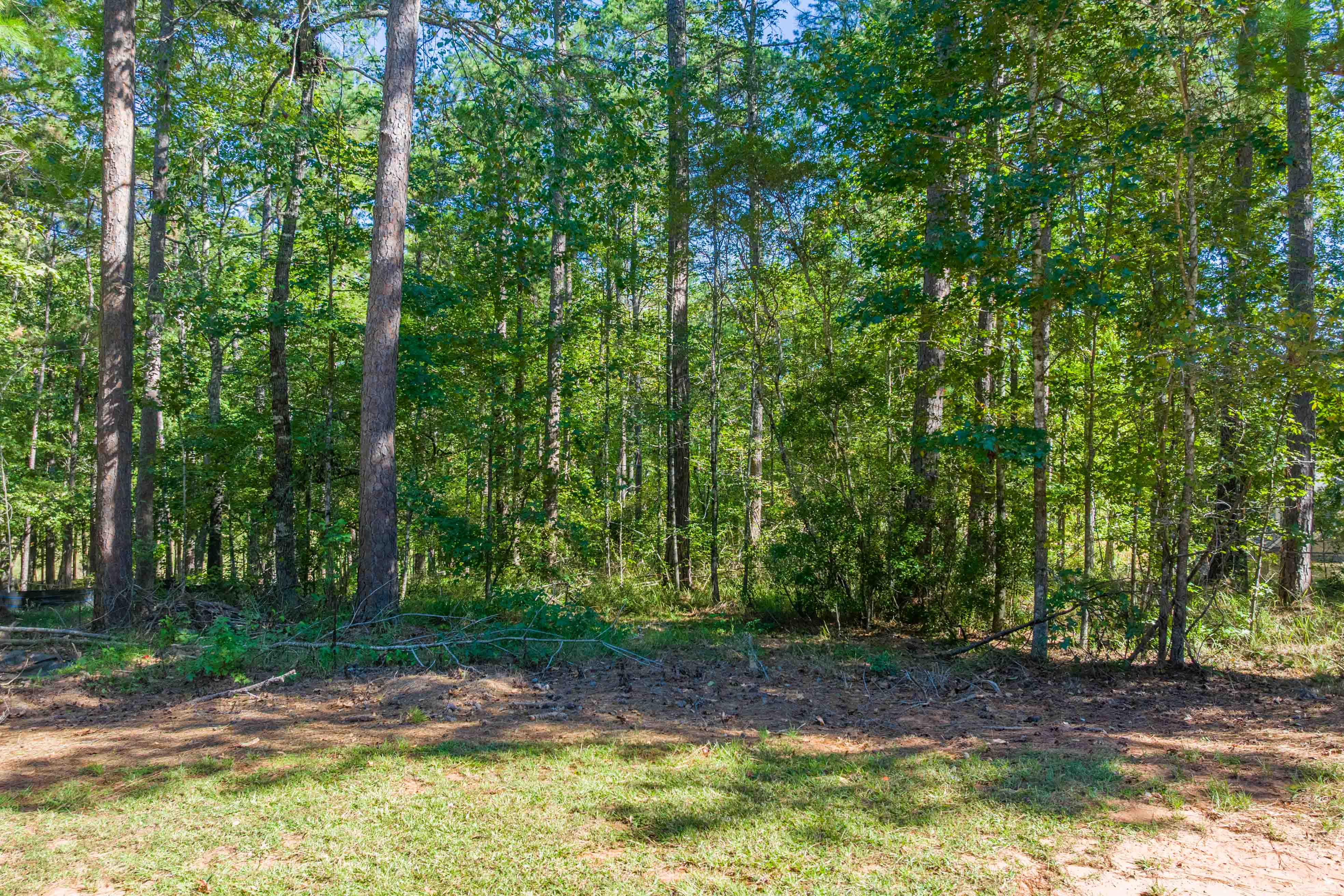 1200 Callahan's Ridge Road image 6